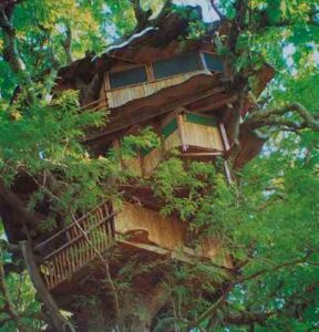 Treehouse Living: 4 Custom, Eco-friendly Options Image